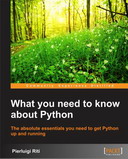 What you need to know about Python
